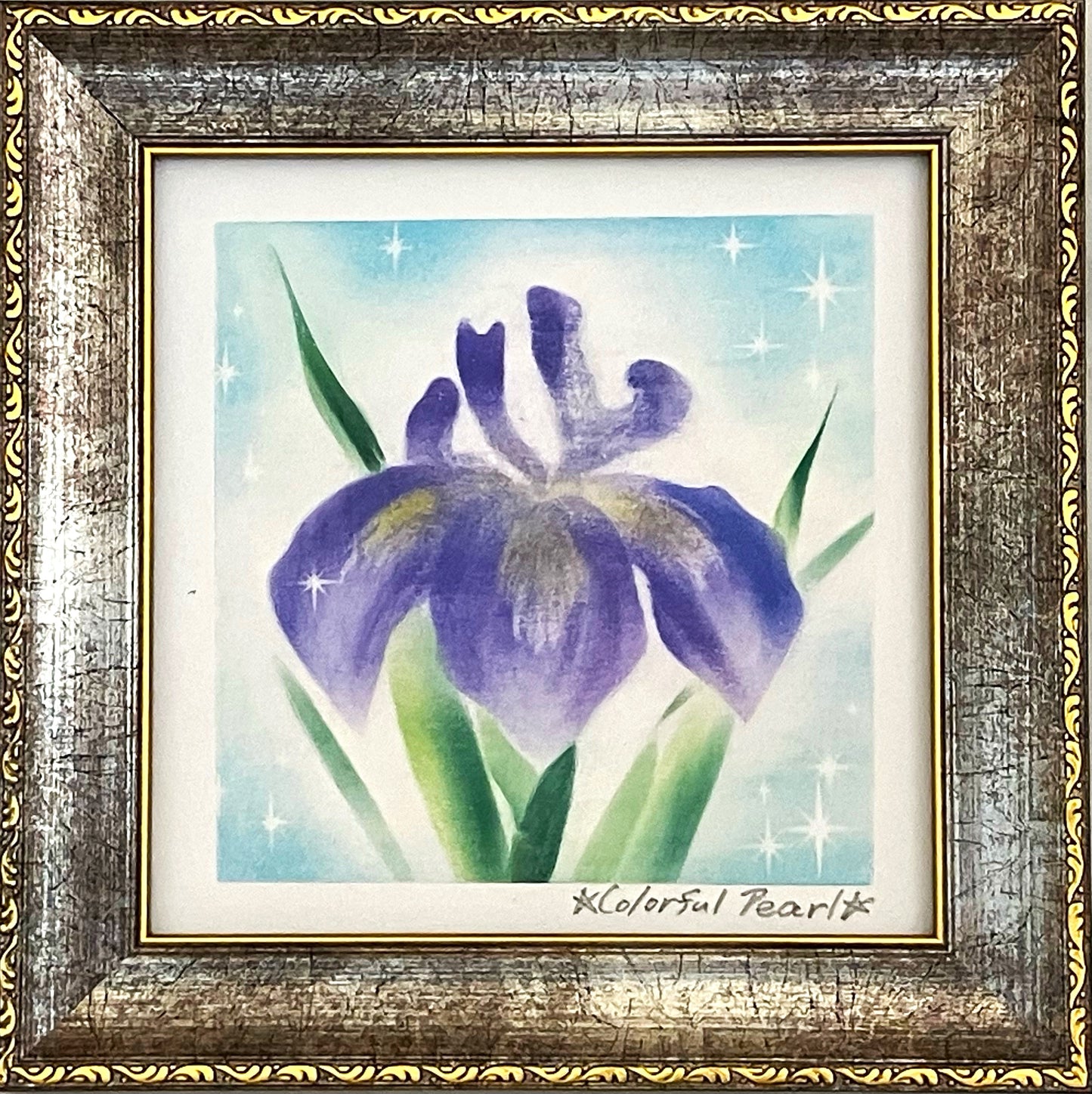 菖蒲