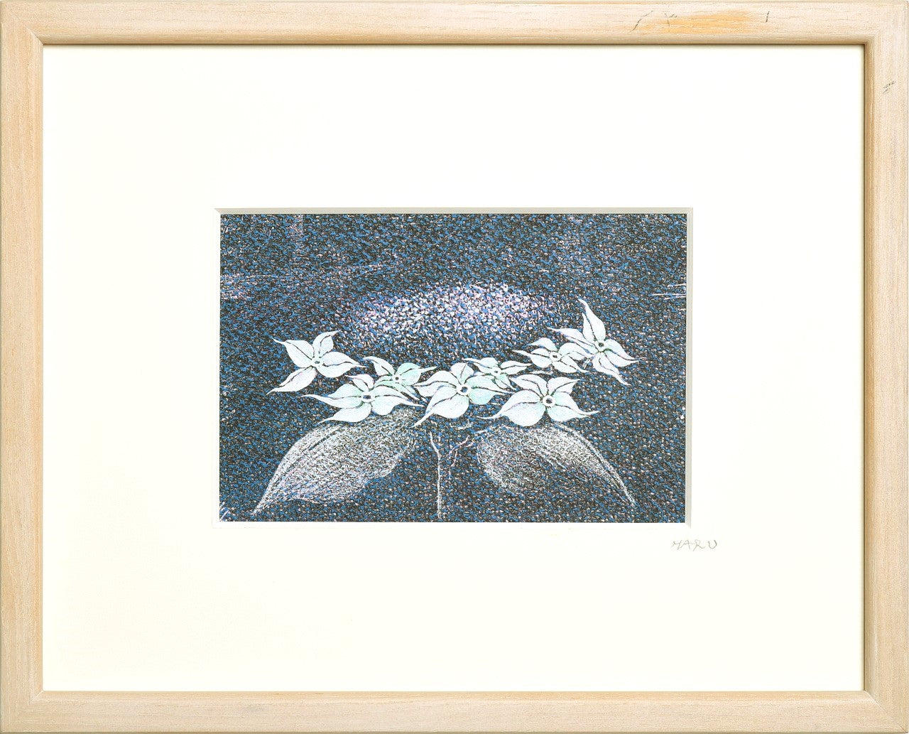 Ajisai Blue